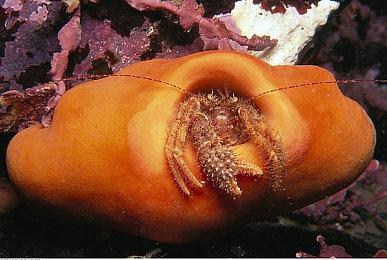 GOG宣布《辐射：伦敦》下载量突破100万